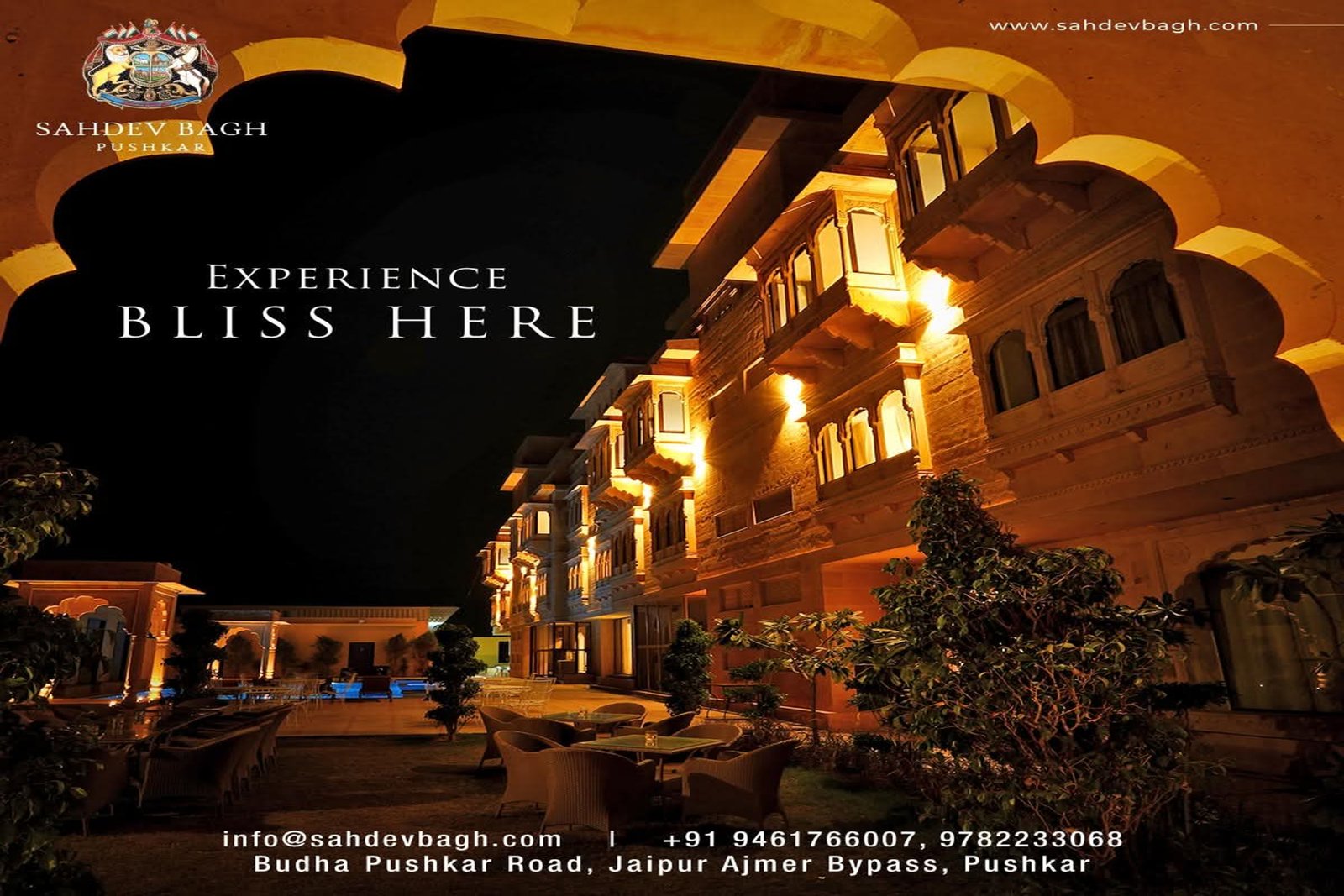 Wedding Celebration 2